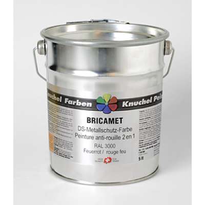 BRICAMET DS-Metallschutz-Farbe 2 in 1