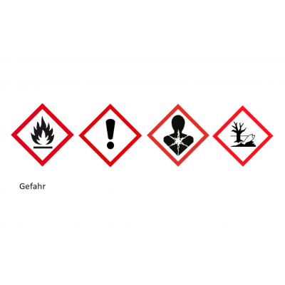 GEIGER Dispersions-Fleckenentferner